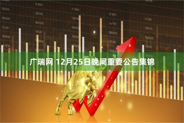 广瑞网 12月25日晚间重要公告集锦