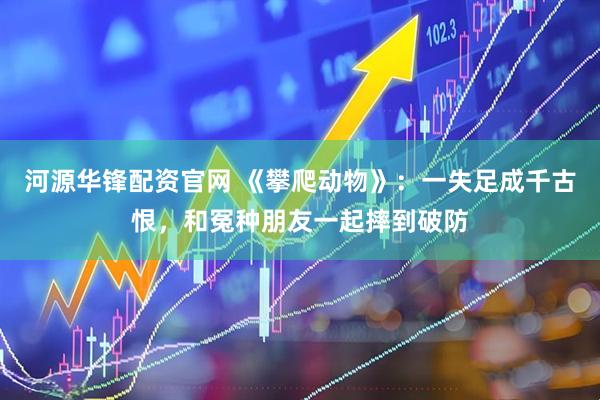 河源华锋配资官网 《攀爬动物》：一失足成千古恨，和冤种朋友一起摔到破防